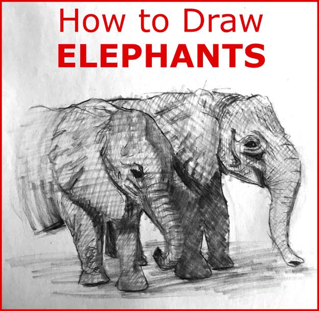 How to Draw ELEPHANTS step by step elephant drawing tutorial easy / simple / fast / quick and realistic for all ages wild animal safari sketch