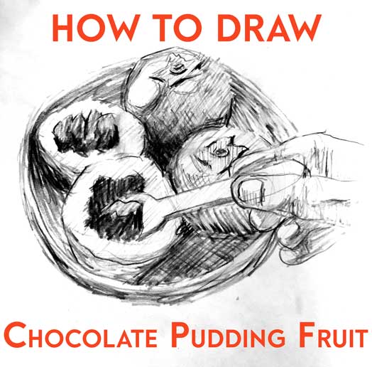 How to Draw BLACK SAPOTE CHOCOLATE PUDDING FRUIT easy / simple / step by step / realistic / with shading and proportions