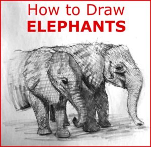 Read more about the article How to Draw ELEPHANTS step by step elephant drawing tutorial easy / simple / fast / quick and realistic for all ages wild animal safari sketch