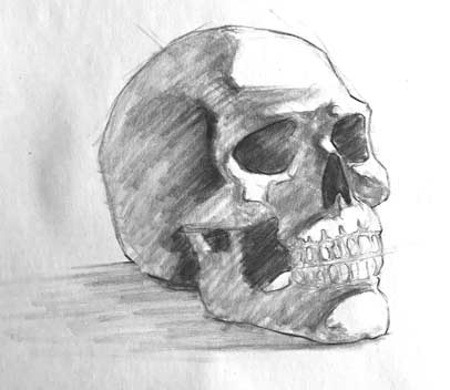 skull-drawing-step-8