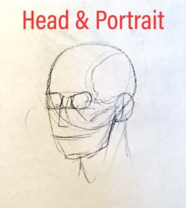 Read more about the article Head and portrait week 1 how to draw / construct / paint in an easy / simple / fast / quick way using drawing methods for beginners / advanced / intermediate technique